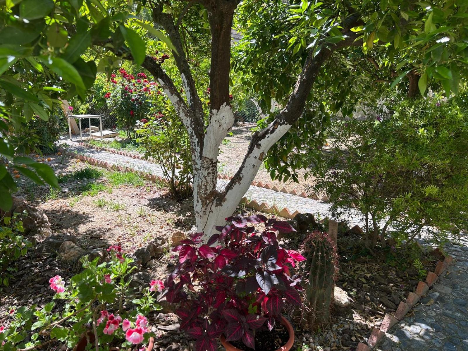 Restábal La Despensa Del Valle מראה חיצוני תמונה