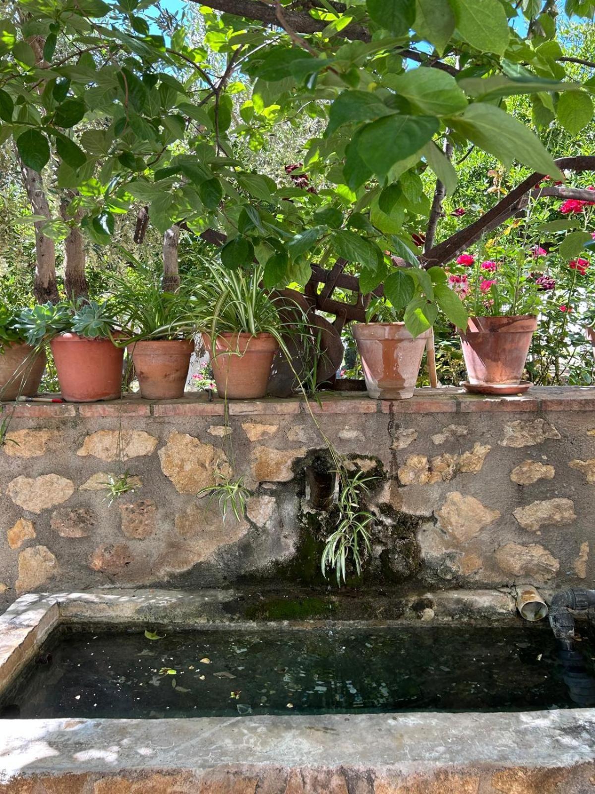 Restábal La Despensa Del Valle מראה חיצוני תמונה